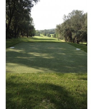 Tee Line - Haut de gamme au m²