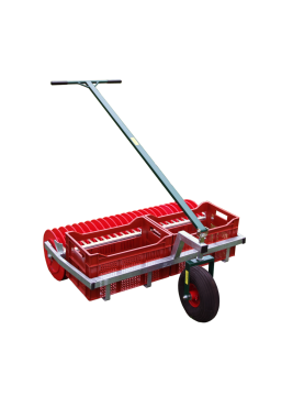 Ramasse-balles - 2 paniers